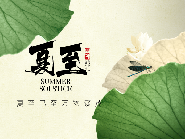 蝉鸣蛙语 且听盛夏